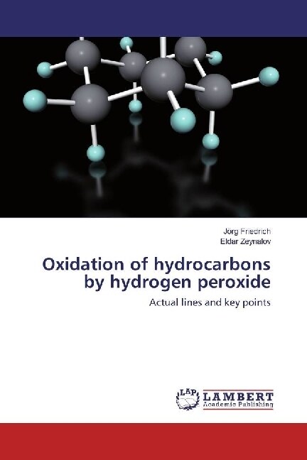 Oxidation of hydrocarbons by hydrogen peroxide (Paperback)