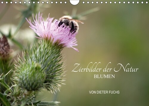 Zierbilder der Natur BLUMEN (Wandkalender 2018 DIN A4 quer) Dieser erfolgreiche Kalender wurde dieses Jahr mit gleichen Bildern und aktualisiertem Kal (Calendar)