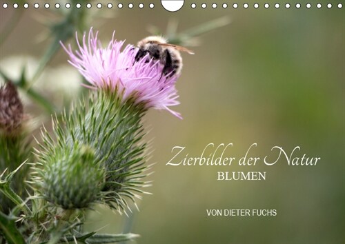 Zierbilder der Natur BLUMEN (Wandkalender 2019 DIN A4 quer) (Calendar)