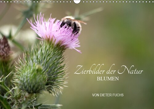 Zierbilder der Natur BLUMEN (Wandkalender 2019 DIN A3 quer) (Calendar)