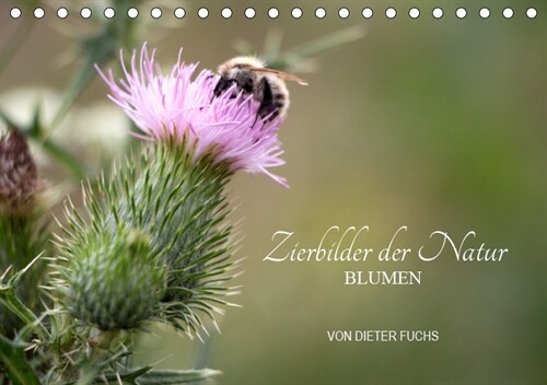 Zierbilder der Natur BLUMEN (Tischkalender 2019 DIN A5 quer) (Calendar)