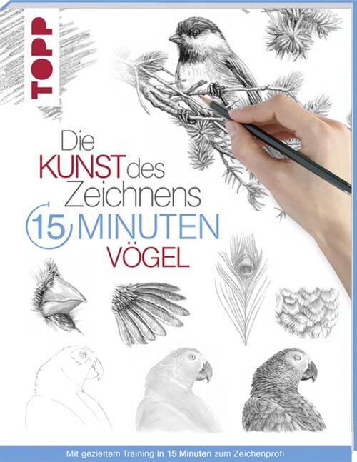 Die Kunst des Zeichnens 15 Minuten - Vogel (Paperback)