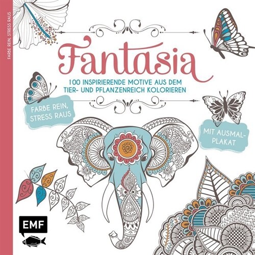 Fantasia (Paperback)