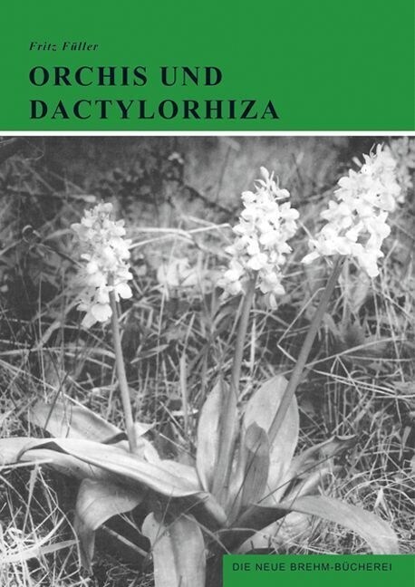Orchis und Dactylorhiza (Paperback)