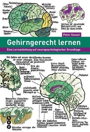 Gehirngerecht lernen (Paperback)