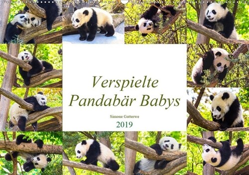 Pandabar Babys (Wandkalender 2019 DIN A2 quer) (Calendar)