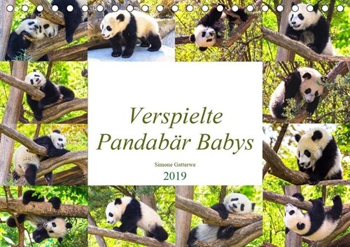 Pandabar Babys (Tischkalender 2019 DIN A5 quer) (Calendar)