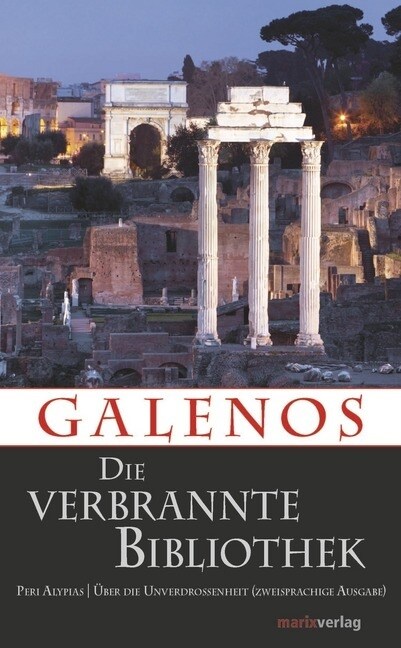 Die verbrannte Bibliothek (Hardcover)