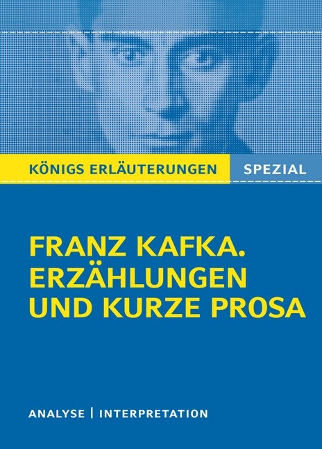 Franz Kafka. Erzahlungen und kurze Prosa (Paperback)