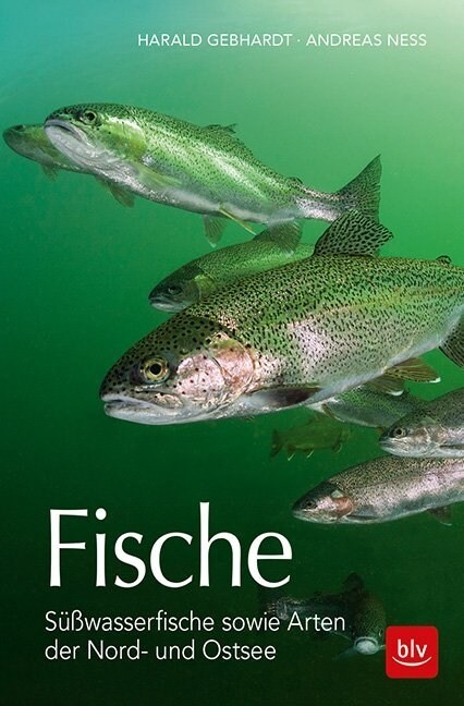 Fische (Paperback)