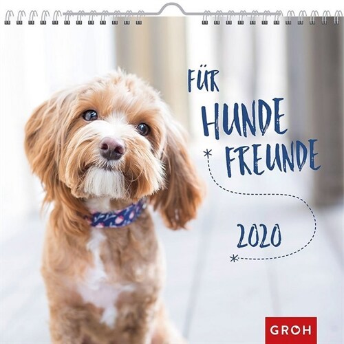 Fur Hundefreunde 2020 (Calendar)