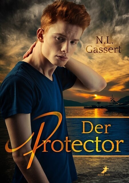 Der Protector (Paperback)