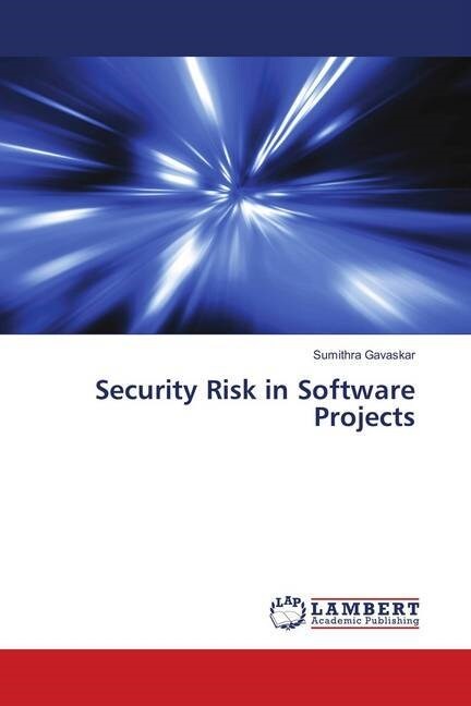 Security Risk in Software Projects (Paperback)