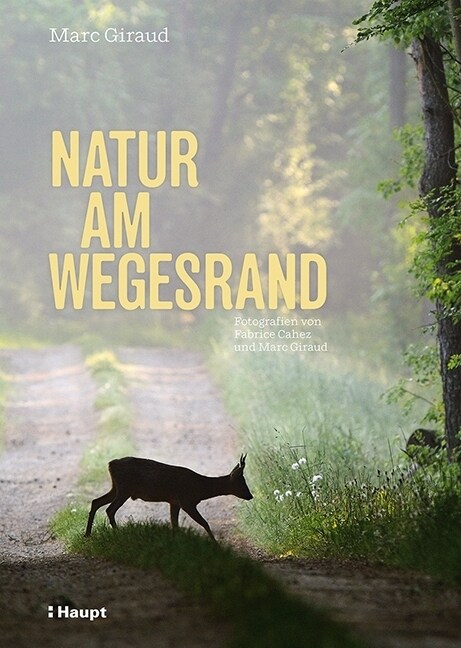 Natur am Wegesrand (Paperback)