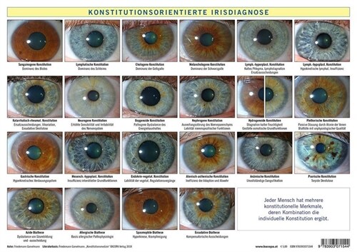 Konstitutionsorientierte Irisdiagnose, Tafel (Poster)
