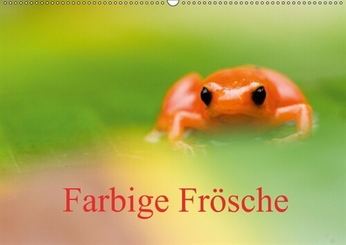 Farbige Frosche (Wandkalender 2018 DIN A2 quer) (Calendar)