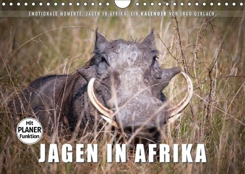 Emotionale Momente: Jagen in Afrika. (Wandkalender 2018 DIN A4 quer) Dieser erfolgreiche Kalender wurde dieses Jahr mit gleichen Bildern und aktualisi (Calendar)