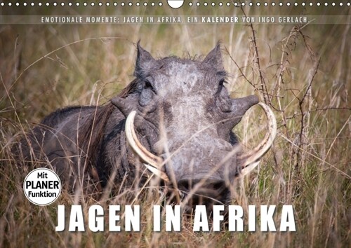 Emotionale Momente: Jagen in Afrika. (Wandkalender 2018 DIN A3 quer) Dieser erfolgreiche Kalender wurde dieses Jahr mit gleichen Bildern und aktualisi (Calendar)