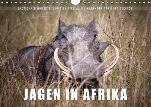 Emotionale Momente: Jagen in Afrika. (Wandkalender 2019 DIN A4 quer) (Calendar)