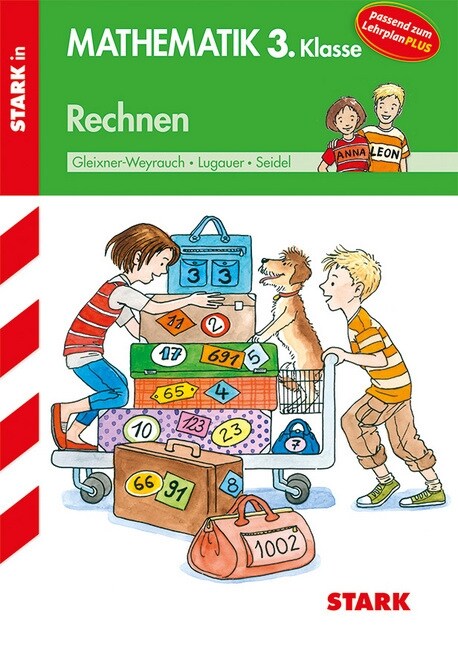 Rechnen, 3. Klasse (Paperback)