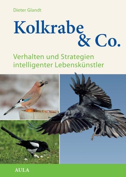 Kolkrabe & Co. (Hardcover)