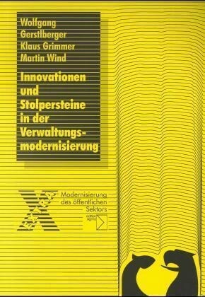 Innovationen und Stolpersteine in der Verwaltungsmodernisierung (Paperback)