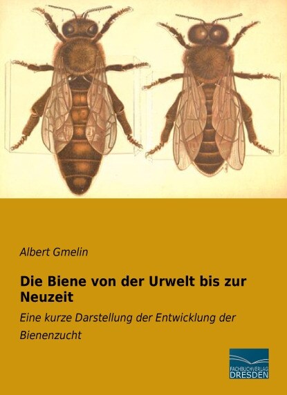 Die Biene von der Urwelt bis zur Neuzeit (Paperback)