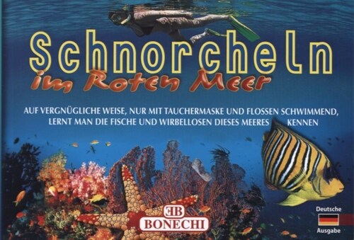 Rotes Meer, Schnorcheln (Paperback)