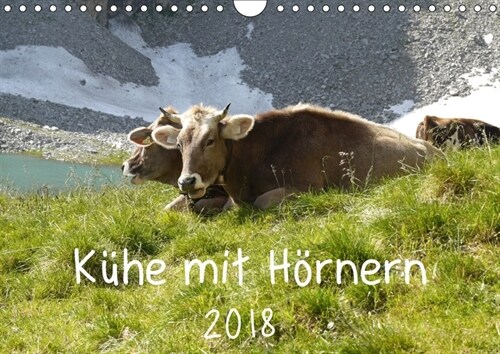 Kuhe mit Hornern (Wandkalender 2018 DIN A4 quer) (Calendar)
