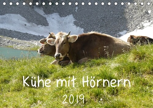 Kuhe mit Hornern (Tischkalender 2019 DIN A5 quer) (Calendar)