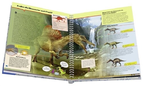 Dinosaurier (Paperback)