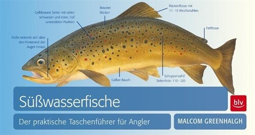 Sußwasserfische (Paperback)