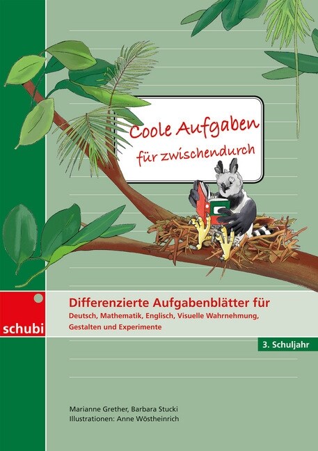 Coole Aufgaben fur zwischendurch, 3. Schuljahr (Paperback)