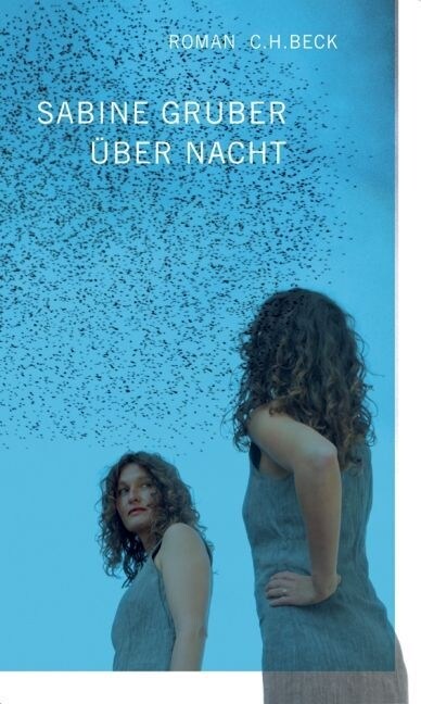 Uber Nacht (Hardcover)