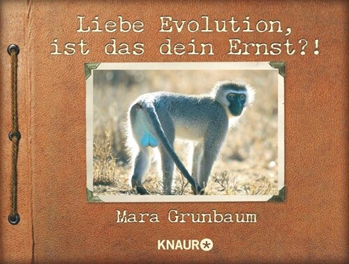 Liebe Evolution, ist das dein Ernst？! (Paperback)