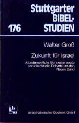 Zukunft fur Israel (Paperback)