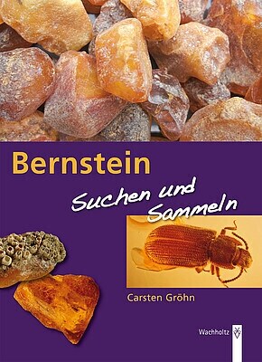 Bernstein (Paperback)