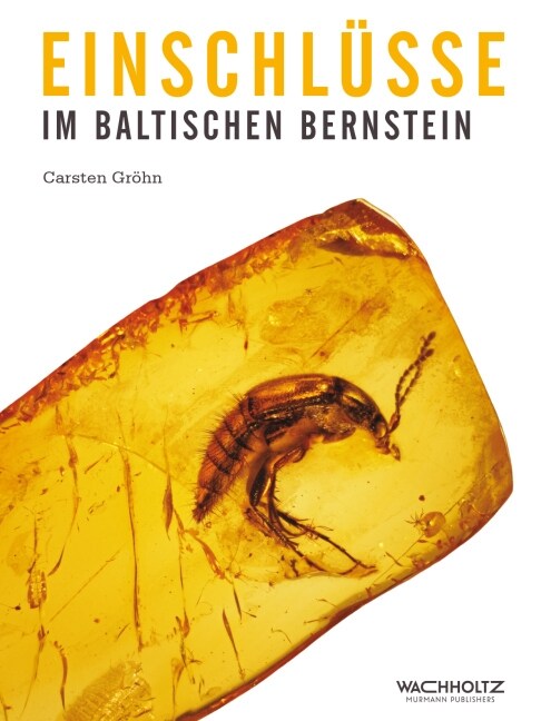 Einschlusse im baltischen Bernstein (Hardcover)