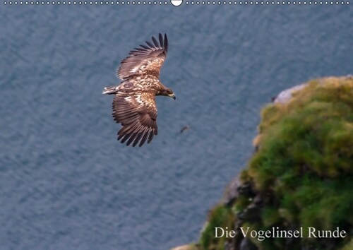 Die Vogelinsel Runde (Wandkalender 2018 DIN A2 quer) (Calendar)