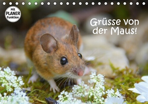 Grusse von der Maus! (Tischkalender 2018 DIN A5 quer) (Calendar)