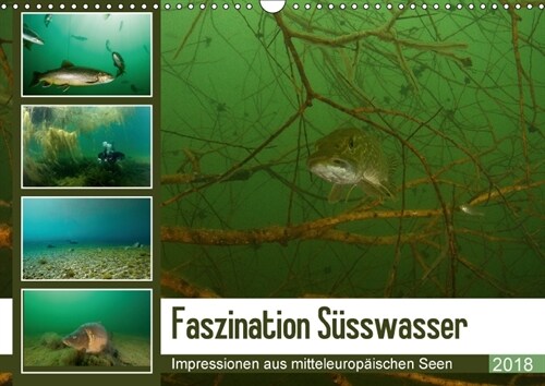 Faszination Susswasser (Wandkalender 2018 DIN A3 quer) Dieser erfolgreiche Kalender wurde dieses Jahr mit gleichen Bildern und aktualisiertem Kalendar (Calendar)