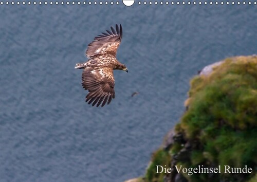 Die Vogelinsel Runde (Wandkalender 2019 DIN A3 quer) (Calendar)