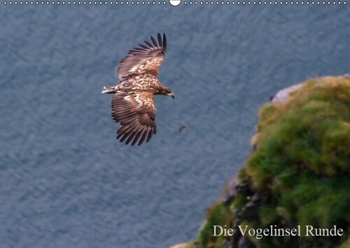 Die Vogelinsel Runde (Wandkalender 2019 DIN A2 quer) (Calendar)