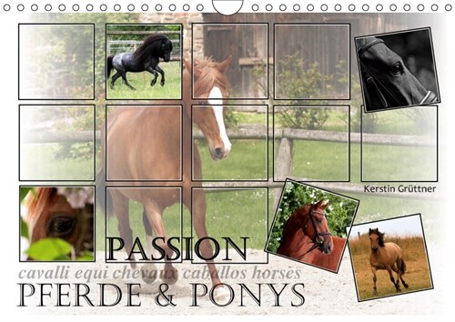 Passion - Pferde und Ponys (Wandkalender 2019 DIN A4 quer) (Calendar)