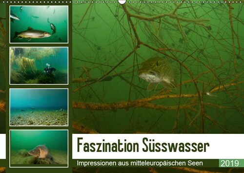 Faszination Susswasser (Wandkalender 2019 DIN A2 quer) (Calendar)