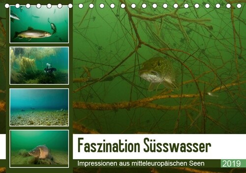 Faszination Susswasser (Tischkalender 2019 DIN A5 quer) (Calendar)