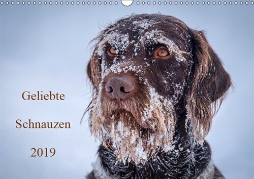 Geliebte Schnauzen 2019 (Wandkalender 2019 DIN A3 quer) (Calendar)