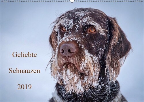 Geliebte Schnauzen 2019 (Wandkalender 2019 DIN A2 quer) (Calendar)