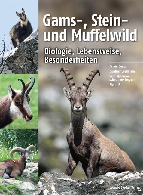 Gams-, Stein- und Muffelwild (Hardcover)