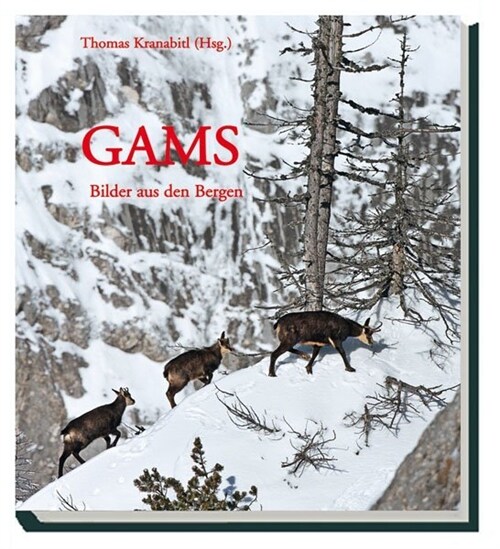 Gams - Bilder aus den Bergen (Hardcover)